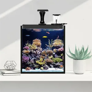 Aquário Retangular Ultra Transparente Moderno e Ecológico de Vidro para Peixes de Água Salgada, Ideal para Espaços Pequenos - Acessórios para Aquário - Product Image 3