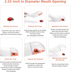เครื่องมือจับแมลงแบบไม่สัมผัส พร้อมประตูเลื่อนสำหรับจับแมงมุม - Product Image 4