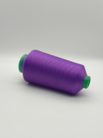 Fil à teindre en nylon 100 % confortable, anti-boulochage, haute résistance, fil DTY 24F pour chaussettes tricotées à la main et tissage