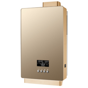 Caldera Eléctrica de Agua Caliente para Invernadero, Hogar, Escuela u Hotel, Modelo RIB0306 - Product Image 5