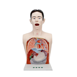 Kit di Addestramento per Operazioni Infermieristiche di Base (<span class=keywords><strong>5</strong></span> Componenti) per Pratica Medica - Product Image 4