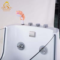 Baignoire autoportante en PET pour animaux de compagnie avec ozone Spa Baignoire pour chiens Machine de massage à bulles d'air pour le nettoyage des animaux de compagnie Bain