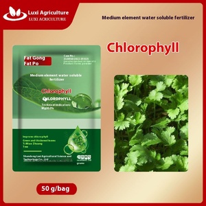 Fertilizante foliar de elemento medio, aminoácido de clorofila para el crecimiento de plántulas, fertilizador orgánico de árboles frutales y verduras - Product Image 4
