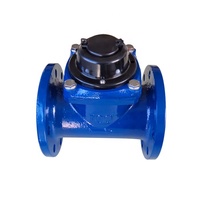 Compteur d'eau en vrac de Type Woltman avec brides de couleur bleue en fonte, Offre Spéciale