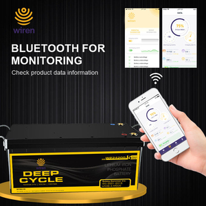 Batterie LiFePO4 Wiren 25,6V 200Ah 5120Wh Lithium Intelligente avec Bluetooth Charge Rapide 5,12kWh pour Pompe à Eau de Ferme à Distance - Product Image 4