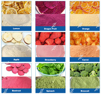 Gevriesdroogd Voedsel Fruit Groenten Appels Aardbeien Poeder Molen Gedroogde Bananenplakjes Poeder Maken Machine Slijpen