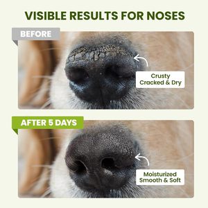 Baume pour les pattes et le nez des chiens Lick-Safe |   Huile de coco nourrissante et protectrice pour les pieds secs et gercés et les soins des articulations des sabots de cheval - Product Image 5