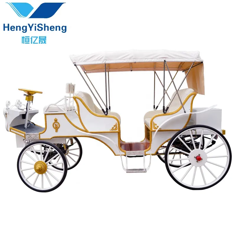 キャノピー付き観光ツーリスト高品質の馬車/イベントリムジン/ランダウ/6人乗りvis-a-vis carriage