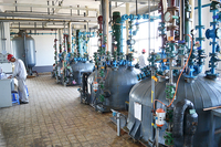 Monoglycérides distillés 90 Monostéarate de glycérine GMS/DMG Comme émulsifiant alimentaire