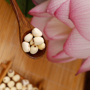 Cung cấp trực tiếp Lõi Rỗng tươi mà không cần vỏ hạt sen trắng ăn được số lượng lớn hoa sen từ nguồn gốc Trung Quốc - Product Image 1