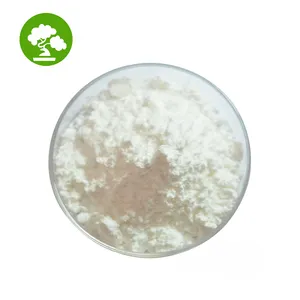 Estratto di foglia di Loquat di alta qualità 98% polvere di acido ursolico