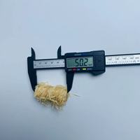 Allume-feu en bois naturel résistant à l'humidité pour barbecue extérieur et cuisine, idéal pour le camping et le barbecue