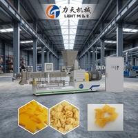 Ligne de production entièrement automatique de snacks en granulés, machine extrudeuse de snacks en granulés en forme de tube 2D/3D