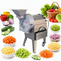 Multifunctionele commerciële hotelkeuken groente- en fruit snijmachine met motor en tandwieloverbrenging van roestvrij staal