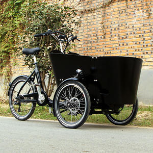 Bicyclette cargo électrique famille 36V, 3 roues, pour mère et bébé, enfants ou animaux de compagnie - Product Image 6