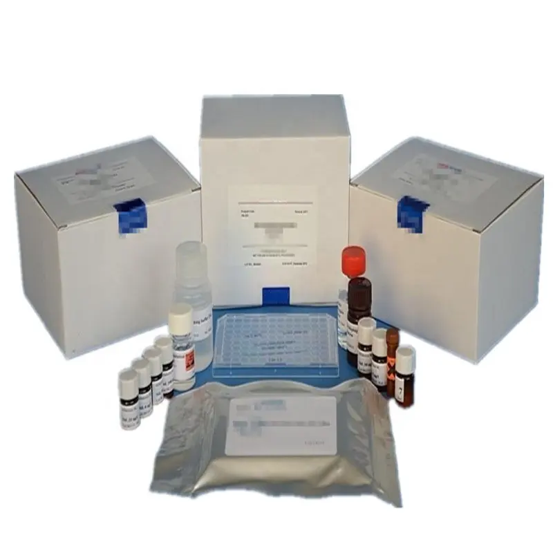 BIOBASE Elisa Reagent Kits PCR Laboratory Price Clinical Elisa Microplate Reagent Kits Open System for Chemical analysis