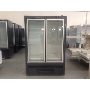 Dois 2 porta comercial porta De Vidro Swing refrigerantes exibição de altura geladeira Frost free