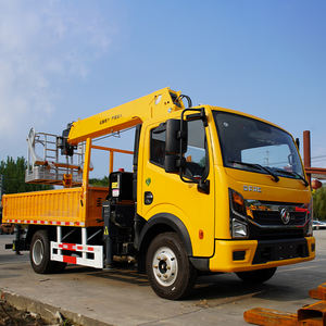 Mini camion à benne basculante sur chenilles 4T <span class=keywords><strong>grue</strong></span> cylindre <span class=keywords><strong>hydraulique</strong></span> espaces étroits manœuvrables 20m pour une utilisation en <span class=keywords><strong>atelier</strong></span> <span class=keywords><strong>d</strong></span>'entrepôt - Product Image 2