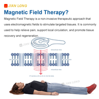 Nouvelle machine de magnétothérapie à champ magnétique refroidie à l'eau, électromagnétique, pour massage du cou et soulagement de la douleur corporelle complète