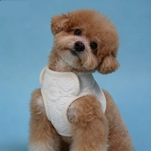 Harnais rafraîchissant pour chien en tissu fonctionnel coréen, adapté aux chiens de petite à grande taille, avec détails réfléchissants pour la sécurité nocturne - Product Image 1