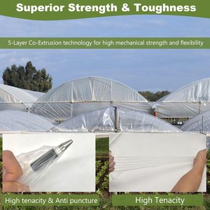 6 Mil Clear Greenhouse Plastic Sheeting UV Resistant Heavy Duty Polyethylene <b>Film</b> For Construction - Product Image 5