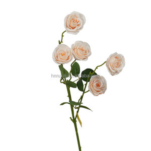 5 tête <span class=keywords><strong>Paris</strong></span> Roses artificielle Rose fleur mariage événement décoration haute qualité fleur fête soie fleur mur toile <span class=keywords><strong>de</strong></span> fond - Product Image 5