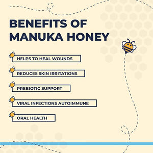 <span class=keywords><strong>Crema</strong></span> de aceite de coco Natural de marca privada, tratamiento de pasta de karité para <span class=keywords><strong>Bulldog</strong></span>, arrugas, bálsamo de pata de Mascota - Product Image 5