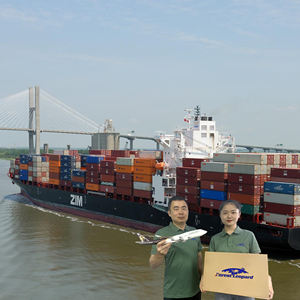 Gratis Sample Beste Istanbul Expediteur Vanuit China Japan Zeevracht Tarieven naar Brazilië Zeevracht - Product Image 6