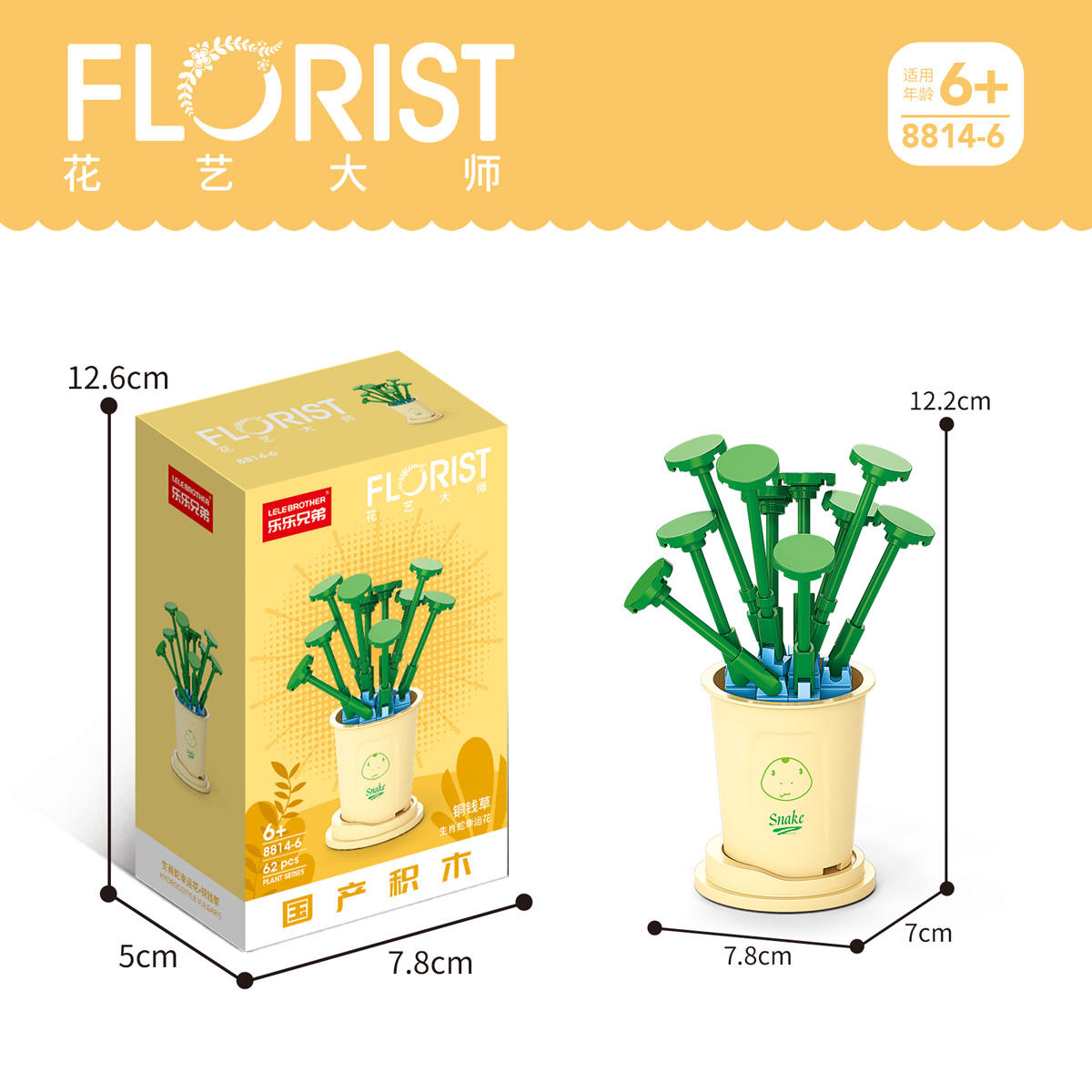 8814-6Hydrocotyle vulgaris L62PCS