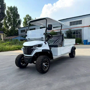 Voiture de golf de luxe certifiée CE, batterie lithium 72V, chariot de golf avec boîte de chargement, 2 places, buggy de golf - Product Image 1
