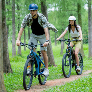 ราคาโรงงาน จักรยานไฟฟ้า 48v Emtb โมเพด รุ่นเรโทร ไฮบริด จักรยานอีไบค์ สำหรับถนนและทางวิบาก จักรยานเสือภูเขา ยางอ้วน - Product Image 6