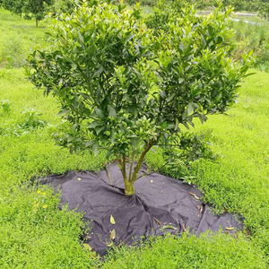 Manta Antihierbas de Polipropileno No Tejido, la Más Vendida, con Alta Permeabilidad al Agua, Negra, 0.8m*0.8m, 12-24 Meses - Product Image 4