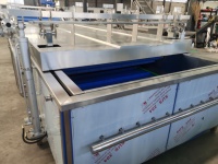 Fruit- en zeewierfrietjes, diepvriesgroenten en fruit was- en continu blancheringsmachine voor groenten