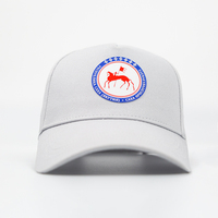 Gorras Trucker Promocionales de Tela de Algodón con Logotipos Personalizados por Transferencia de Calor al por Mayor