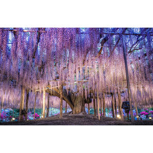 COOLEVE 5D DIY Diamant <span class=keywords><strong>Peinture</strong></span> Peint À La Main Violet Plein Diamant Mosaïque Creative Europe Classique Rectangle Décor À La Maison Cadeau <span class=keywords><strong>Fleur</strong></span> - Product Image 1