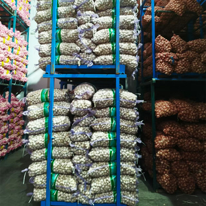 Cabeza <span class=keywords><strong>de</strong></span> <span class=keywords><strong>semilla</strong></span> <span class=keywords><strong>de</strong></span> <span class=keywords><strong>ajo</strong></span> fresco orgánico <span class=keywords><strong>de</strong></span> la mejor calidad, <span class=keywords><strong>ajo</strong></span> rojo blanco puro púrpura, Exportación <span class=keywords><strong>de</strong></span> 10kg 20kg, saco mayorista - Product Image 6