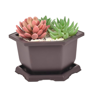 Vaso Quadrato in PP Multi-Misura per <span class=keywords><strong>Bonsai</strong></span> e Piante Grasse, Ecologico e Leggero, per Esterni/Interni con Foro di Drenaggio - Product Image 5