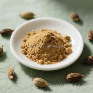 フェヌグリーク種子エキス粉末5% 総サポニンバルクサプライヤーボトルドラム缶包装オプション - Product Image 2