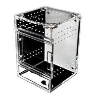 Vente en gros de vitrine d'exposition pour reptiles en acrylique transparent, de haute qualité, design personnalisé, enclos pour reptiles, boîte d'élevage pour araignées sauteuses