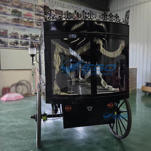 Fabricante Líder de Carrozas Fúnebres Eléctricas de Lujo en Venta - Product Image 2