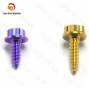 TITST Gr5 boulons en titane filtre à air <span class=keywords><strong>carrosserie</strong></span> vis autotaraudeuse tête <span class=keywords><strong>de</strong></span> bride vis hexagonale boulons pour moto voiture vélo - Product Image 4