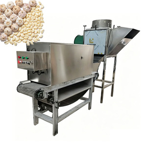 Machine à peler l'ail, ligne de production de poudre d'ail - Product Image 2