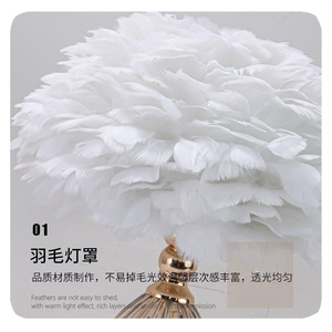 Mới phổ biến rõ ràng phòng ngủ cạnh giường ngủ Kính lãng mạn ấm áp màu hồng lông phòng khách sofa bảng ánh sáng đèn - Product Image 3