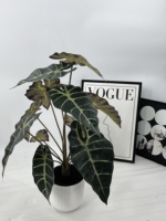 Plante artificielle réaliste Alocasia Amazonica en pot, feuilles noires, ornement de bonsaï pour la remise des diplômes, fait main moderne