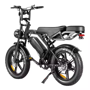 Xe đạp điện V20 Fatbike kho EU, V20 <span class=keywords><strong>Pro</strong></span> Fatbike có ghế sau, xe đạp điện 20 inch, xe đạp điện 250W, V20 Fatbike - Product Image 4