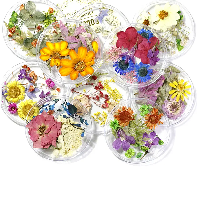 ดอกไม้แห้งสำหรับตกแต่งเล็บขนาดเล็ก,ใช้ตกแต่งเล็บเจล UV คละสีกดแบบธรรมชาติหลากสี