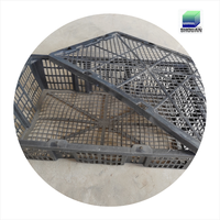 La caisse d'ormeau du marché des fruits de mer/panier en plastique d'ormeau avec taille personnalisable