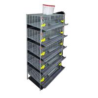 Cage à cailles de haute qualité de type H à alimentation automatique pour la production d'œufs et l'élevage de poules pondeuses