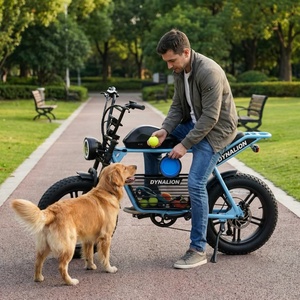 Schwarzes E-Bike mit hydraulischer Bremsunterstützung und 48V Lithium-Akku, Erwachsenen-Elektrofahrrad für Hundeausführungen im Vorort - Product Image 5