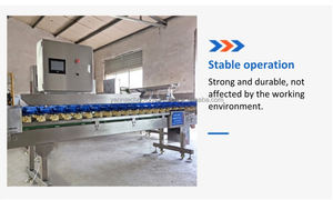 304 Stainless Steel Vegetable and Fruit Sorting Machinery PLC Controlled Abalone Weight Grading <b>Machine</b> Sea Oysters Grader - Product Image 5